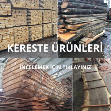 Orman ürünleri sektöründe