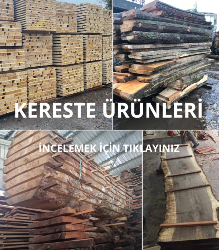 Orman ürünleri sektöründe